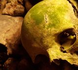 catacombs skulls closeup yellow