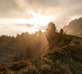 mountain cliff forest sunset