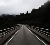 road bridge walking forest fog