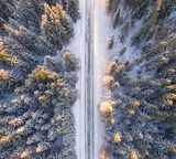 street forest trees snow aerial