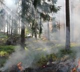 styggkarret forest burning smoke green