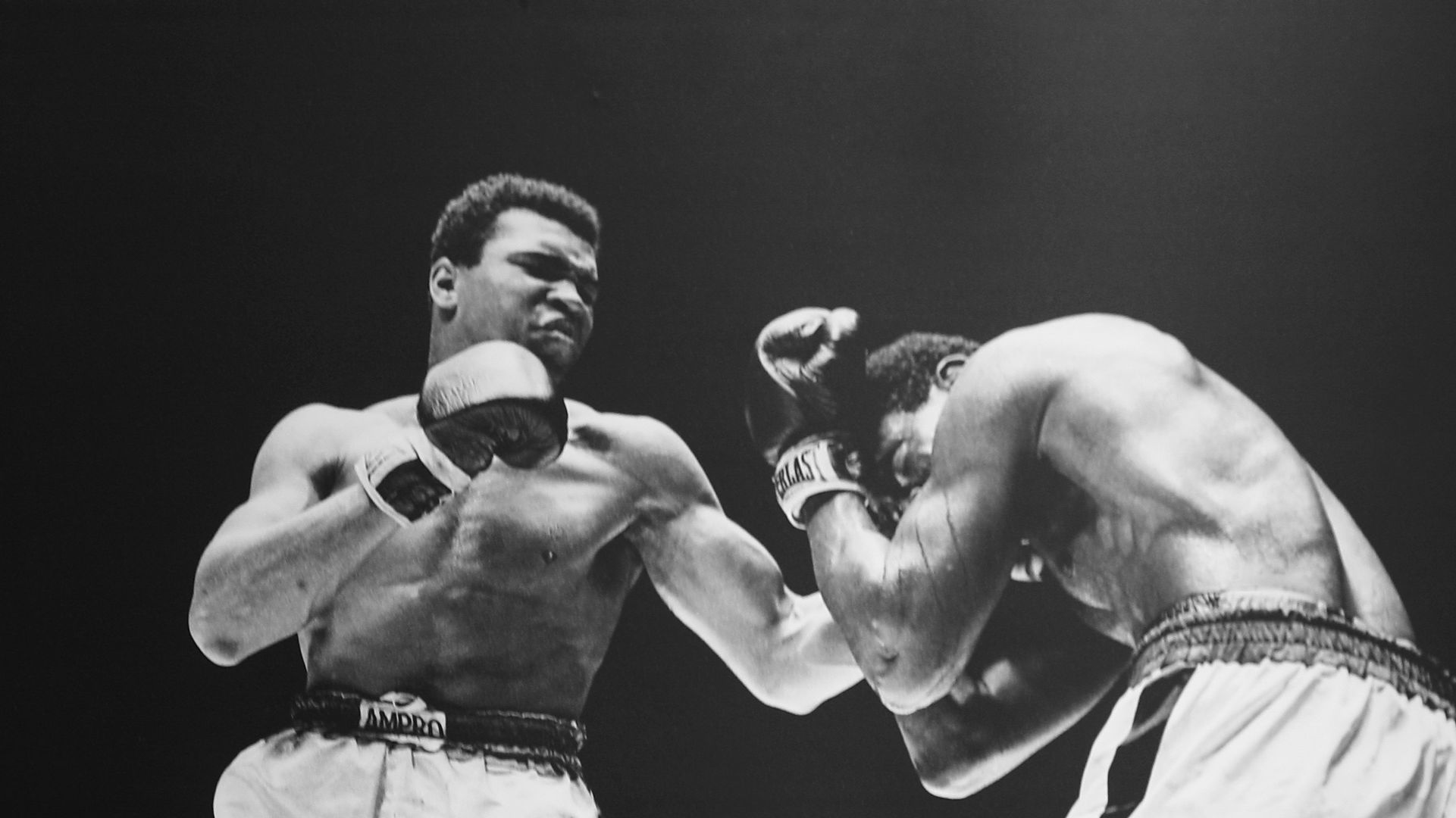 ali vs terrell