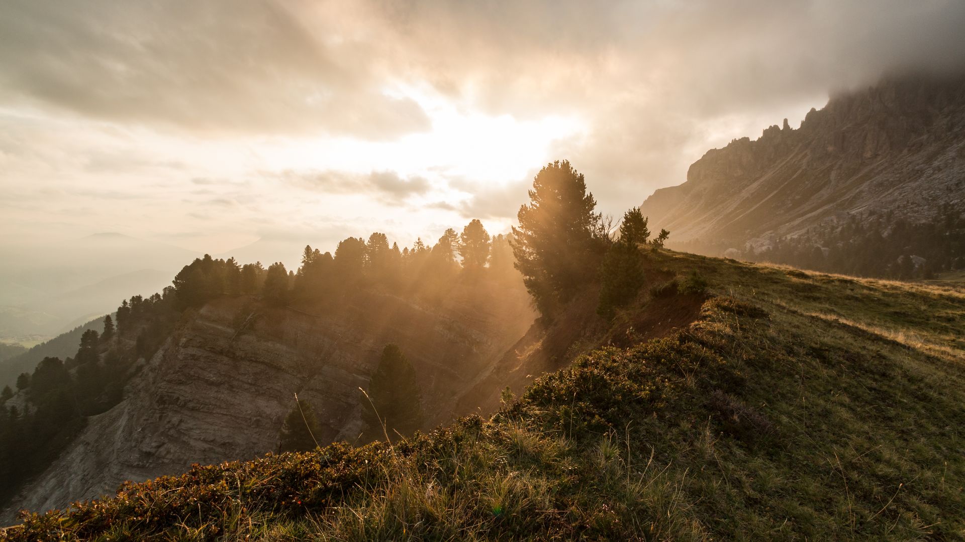 mountain cliff forest sunset