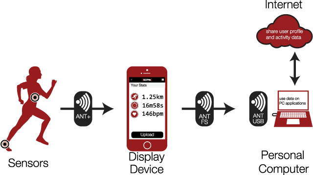 File transfer using the ANT protocol