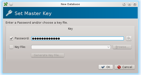 Master Password