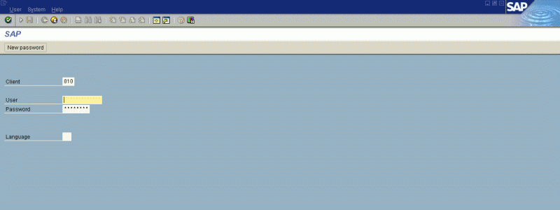 Screenshot of the SAP log-on pad