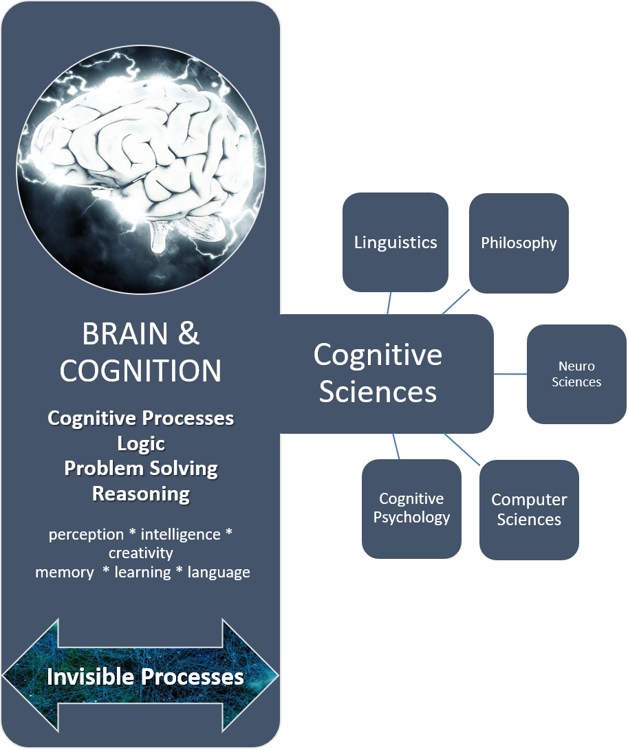 Brain and Cognition