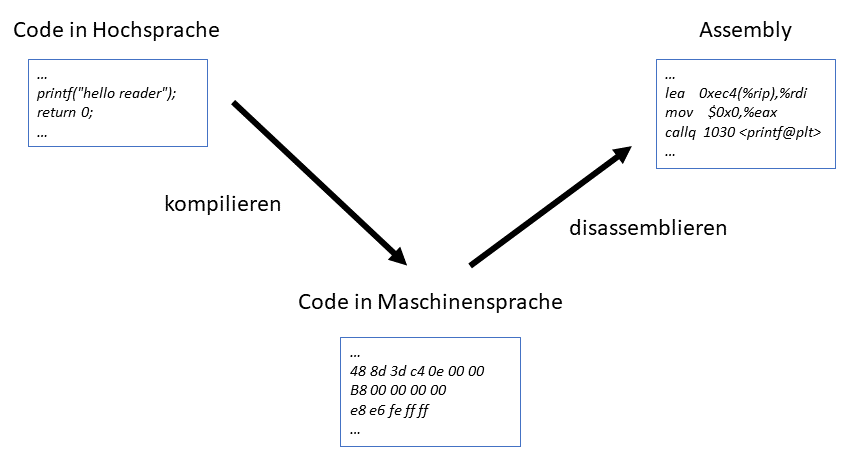 Darstellung vom Ablauf der Kompilierung und Disassemblierung