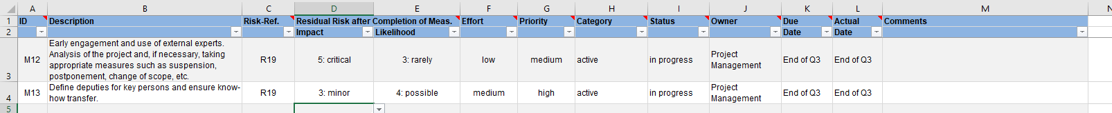 Sample of a risk treatment plan